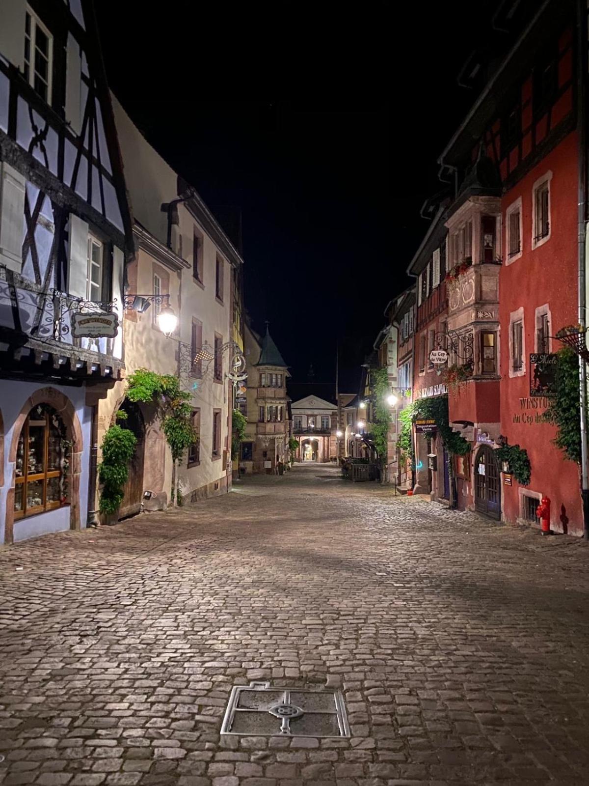 Appartement Jeannala à Riquewihr Extérieur photo